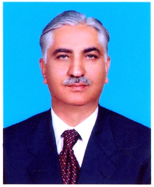 نیئر حسین بخاری — فائل فوٹو