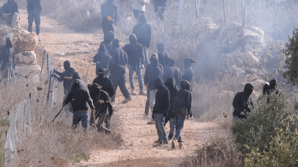 فلسطین میں زیتون کی کٹائی کے دوران کشیدہ صورتحال کا منظر