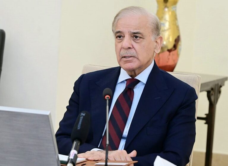 وزیراعظم شہباز شریف اجلاس سے خطاب یا گفتگو کرتے ہوئے